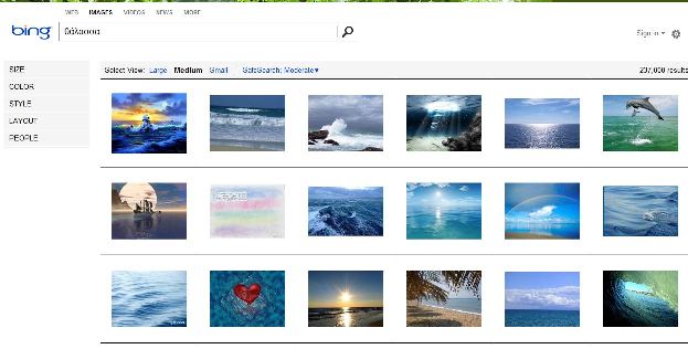 Bing image search results