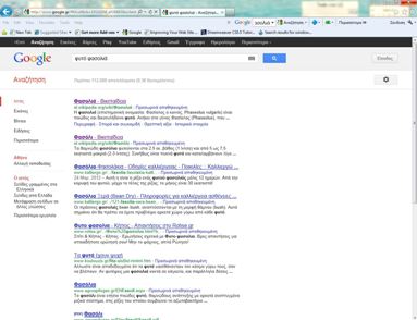 google serp