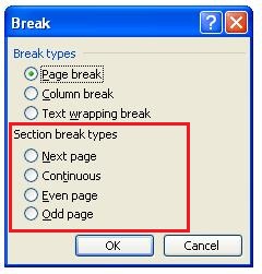 word 2003 insert break window